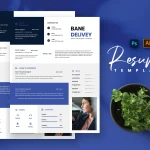 Coldit Professional Resume Templates Free Download